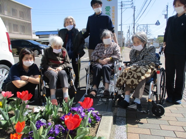 あいむの花壇、満開です。