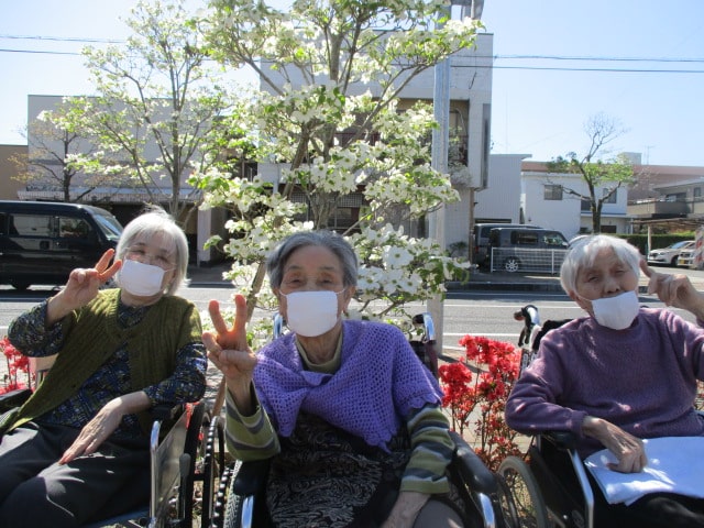 春のお散歩～つつじ・ハナミズキが満開です～